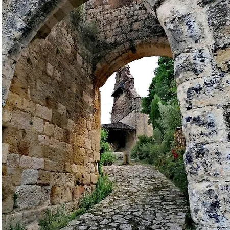 Le Cedre
